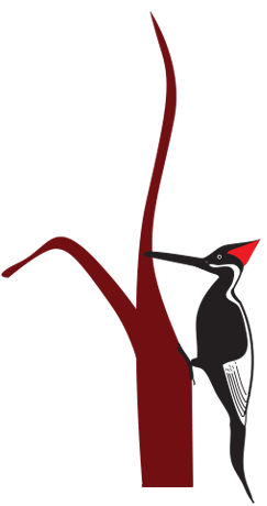 house constructions in trivandrum , showroom works in  trivandrum, interior designer in poojappura,  interior designer in  karamana,  interior designer in vazhuthacaudu,  interior designer in vellayambalam,Trivandrum based Interior Designing and Architectural firm.